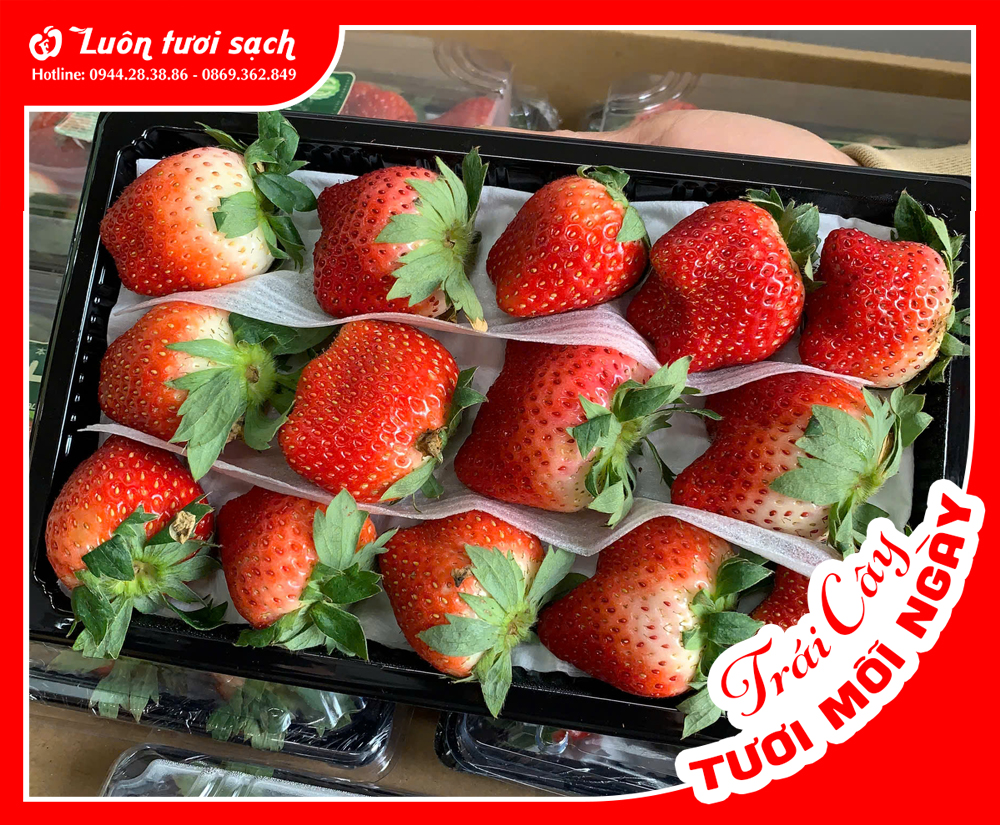 Dâu tây Sơn La 330g